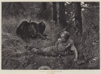 Sieger und Besiegter